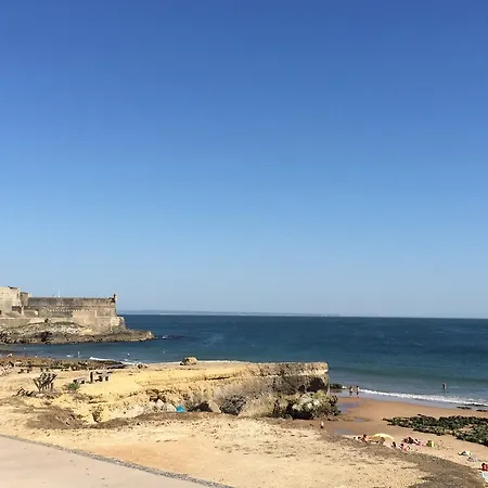 Apartamento 1 Quarto, Com Patio, Em Frente *